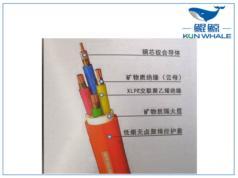 YTTW與 NGA(BTLY)係列隔離型耐火電纜技術比較