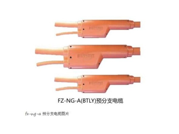 FZ-NG-A(FZ-BTLY)防火<i style='color:red'>分支電纜</i>